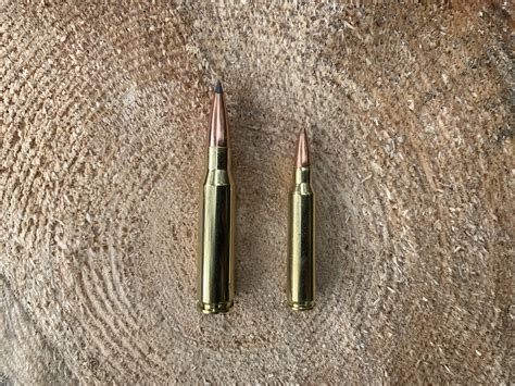 308 Winchester Vs 5 56 Nato 2026 Which Is Best 308 Winchester Vs 5 56 Nato 2026 Which Is Best