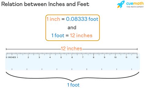 31 Inches to Feet Converter