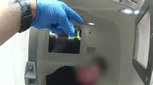 Explore the Significance and Celebrations of the 313 Day Event