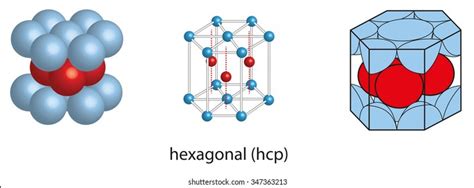 347363216 Shutterstock