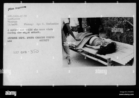 350 Vietnamese Casualties Hi Res Stock Photography And Images Alamy