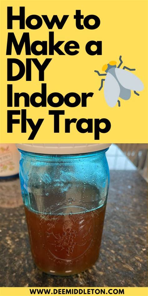 4 Effective Diy Fly Traps To Eliminate Indoor Infestation Manmadediy