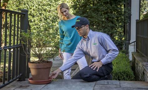 4 Helpful Tips To Prepare For Mosquito Season Terminix Terminix 4 Helpful Tips To Prepare For Mosquito Season Terminix Terminix