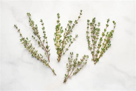 4 Sprigs Of Thyme Equals How Much Dried Thyme Storables