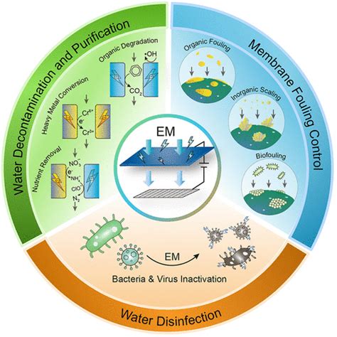 4 Types Of Membranes Used In Water Treatment Etch2o