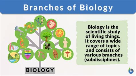 5 Branches Of Biology