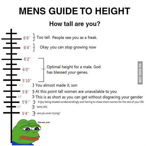5 Foot 10 Inches Here 9Gag