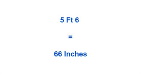 5 Foot 6 Inches