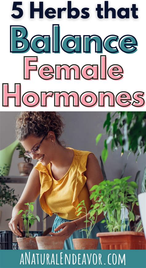 5 Supplements To Balance Female Hormones Naturally Artofit