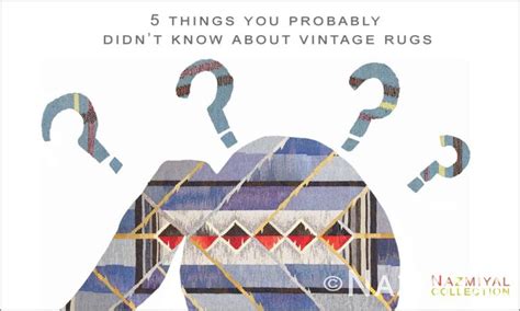 5 Things You Probably Didn T Know About The Secret Scripture With 5 Things You Probably Didn T Know About The Secret Scripture With