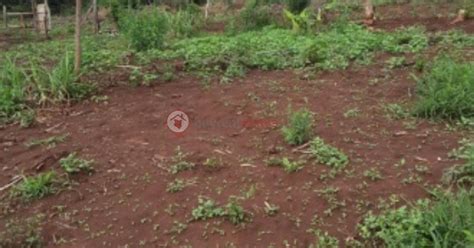 500 M Residential Land At Matasia Area Buyrentkenya