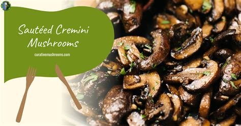 561 Easy Sliced Cremini Mushrooms Recipes