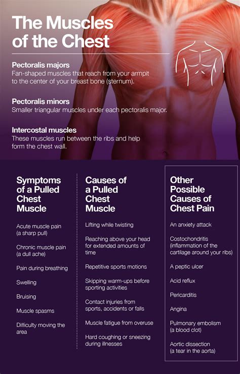 6 Painful Chest Muscle Strain Symptoms Pmir 6 Painful Chest Muscle Strain Symptoms Pmir