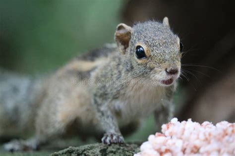 685 Jerusalem Current Stock Photos Free Royalty Free Stock Photos From Dreamstime