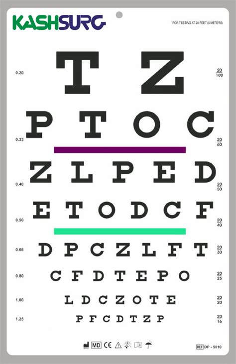 6m to feet converter