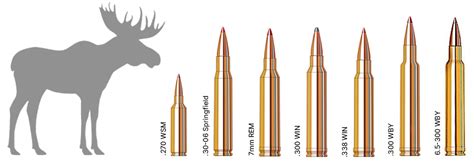 7 Expert S Best Caliber For Elk Moose Hunting Tips