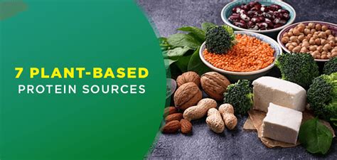 7 Plant Based Protein Sources For Vegetarians Fitpass