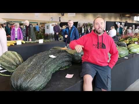 3 Ways 72kg to Pounds