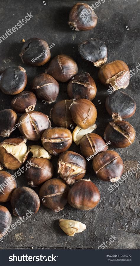 75 400 Chesnut Stock Photos Pictures Royalty Free Images Istock Sweet Chesnut Horse Chesnut Chesnut Tree