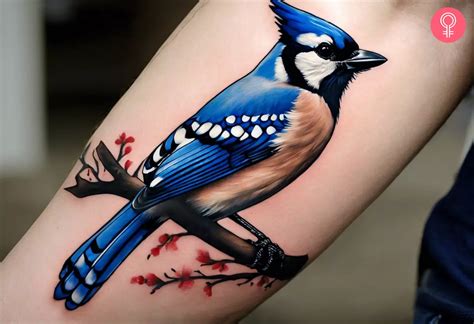 8 Amazing Blue Jay Tattoo Designs With Meaning