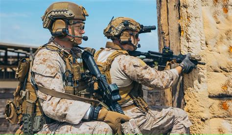 8 Facts About Marines Facts Net