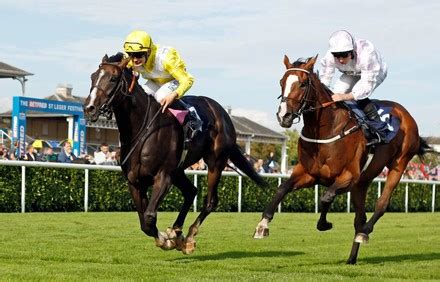 86 Stefano Cherchi Stock Pictures Editorial Images And Stock Photos Shutterstock Editorial 86 Stefano Cherchi Stock Pictures Editorial Images And Stock Photos Shutterstock Editorial