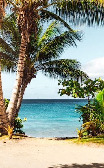 9 Coolest Cities In North Carolina And Here S Why Holidays