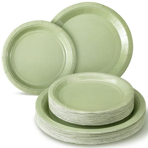 9 Disposable Plates - Mr. Green Guys - 100% Compostable