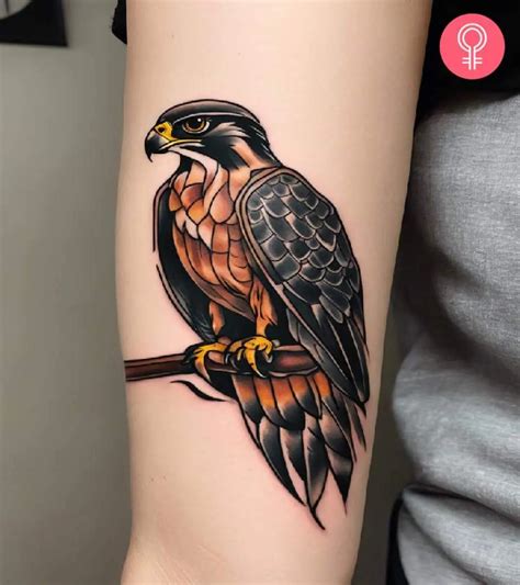 90 Falcon Tattoo Designs For Men