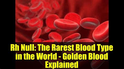 A 3D Rendering Of Words Of Rh Null Blood On Blocks Or Tiles Often Referred To As Golden Blood Because It Is The Rarest Blood Type In The World Stock Photo Alamy
