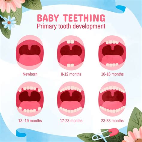 A Baby Born With Teeth Steemit