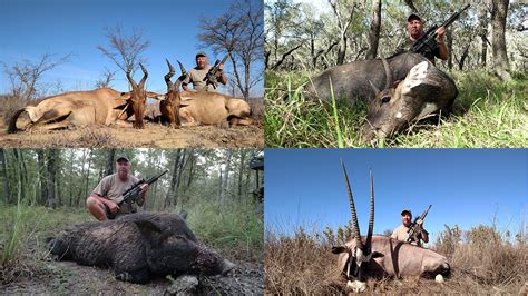 A Complete Guide To Ar Hunting Athlon Outdoors Exclusive Firearm Updates Reviews News