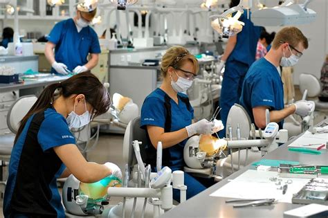 A Comprehensive Guide To Dental School Prerequisites And Admission