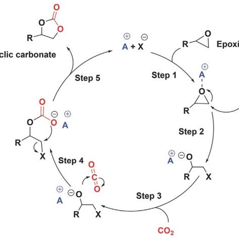 A Comprehensive Overview Of The Catalytic Pathway For Co2 Utilization With Epoxide To Cyclic Carbonate Chem Catalysis