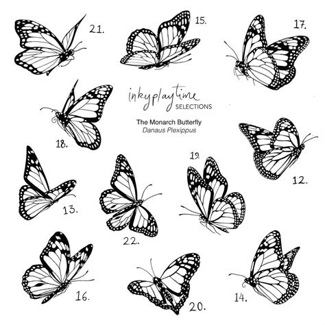 A Flash Tattoo Sheet Containing 11 Different Monarch Butterflies A Flash Tattoo Sheet Containing 11 Different Monarch Butterflies