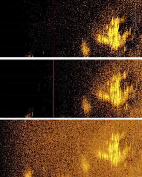 A Grainy Sonar Image Reignites Excitement And Skepticism Over Earhart S Final Flight