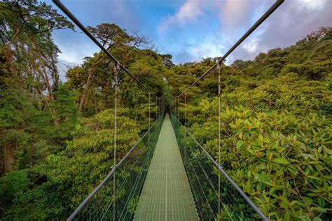 A Guide To Monteverde Cloud Forest Reserve The Costa Rica News