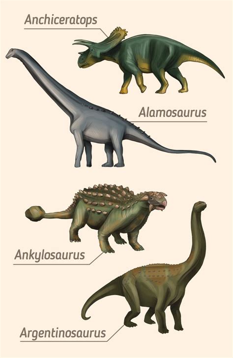 A Guide To The Different Types Of Dinosaurs In 2022 Dinosaur
