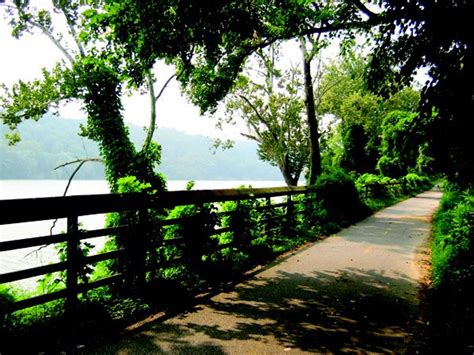 A Hiking Guide To The Dmv Area