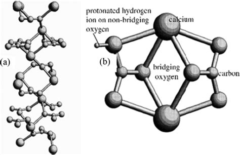 A Lattice Molecular Of Calcium Carbonate And B Surface Structure Of