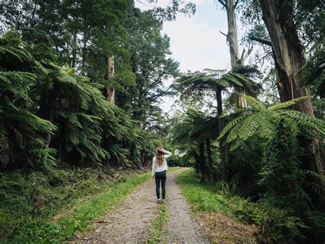 A Local Amp 39 S Guide To Warburton In The Yarra Valley Beyond Wild Places