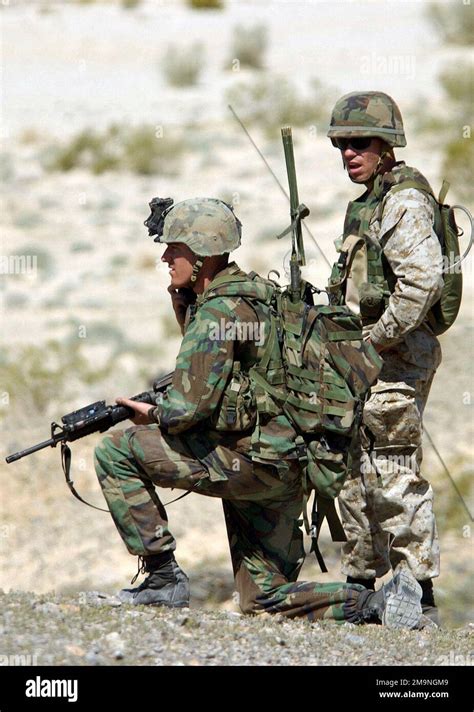 A Marine Student In The Infantry Officers Course Ioc And Armed With A Colt 5 56 Mm M16a2 Rifle Waits On One Knee During An Assault On The Delta Prospect Range At The