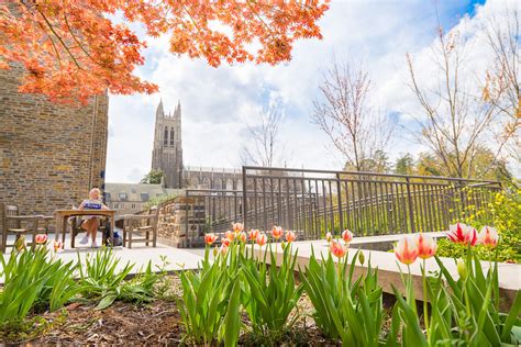 A New Life Wandering Places To Stay In North Carolina Durham Charlotte Wilmington Asheville And Chapel Hill Sydney Aaliyah Michelle A New Life Wandering Places To Stay In North Carolina Durham Charlotte Wilmington Asheville And Chapel Hill Sydney Aaliyah Michelle