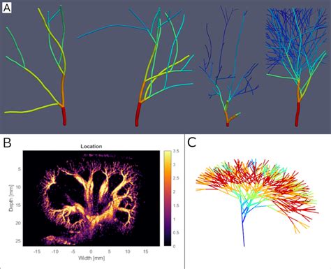 A Randomly Generated Networks Obtained Using Different Maximum Allowed A Randomly Generated Networks Obtained Using Different Maximum Allowed