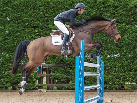 A To Z Of Showjumping Horse And Rider