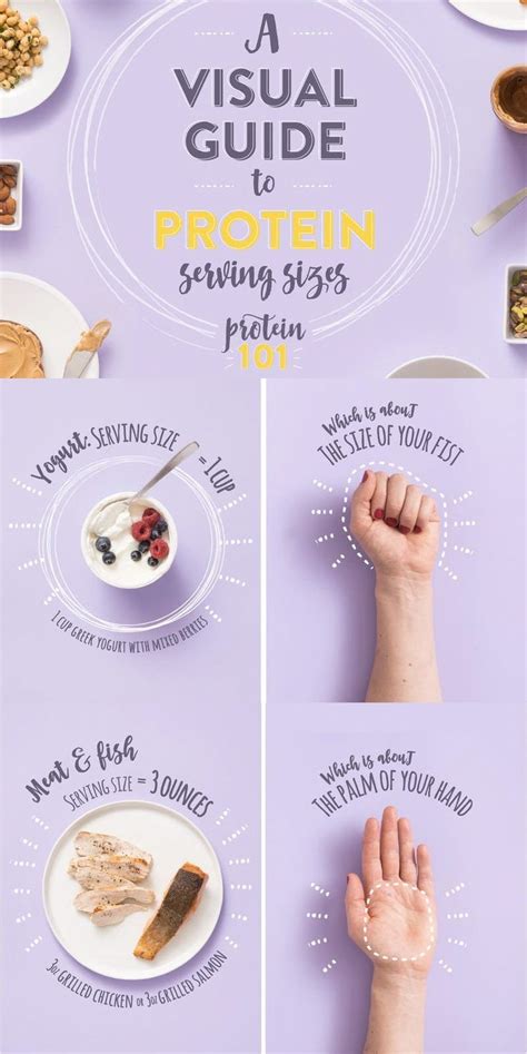 A Visual Guide To Protein Serving Sizes The Kitchn