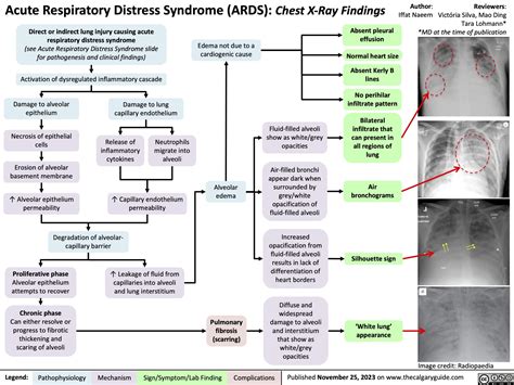 Abbreviations Ards Acute Respiratory Distress Syndrome Ci Confidence