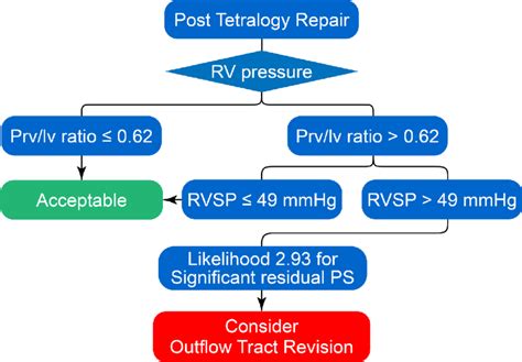 Abbreviations Sd Sprague Dawley Rvsp Right Ventricular Systolic