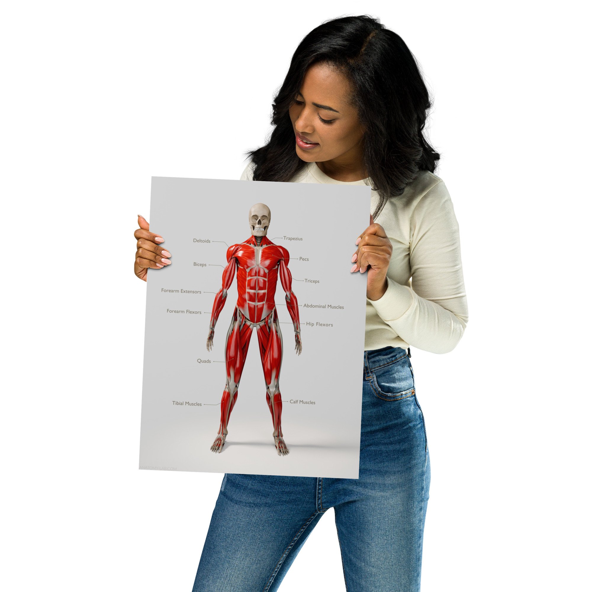 Abductor Hallucis Muscle Anatomy Overview Easily Explained