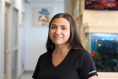 About Us University Veterinary Center Anaheim S Best Vet Hospital